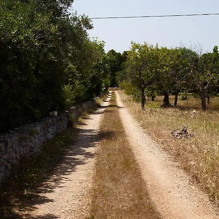Dimora Del Carrubo Villa